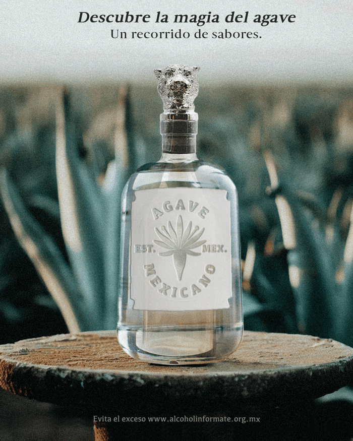 ¿Con qué se toma el mezcal? Descubre la riqueza de esta bebida